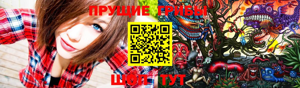 Галлюциногенные грибы MAGIC MUSHROOMS  Вход с VPN  Псилоцибиновые грибы ЛСД  Вышний Волочёк 